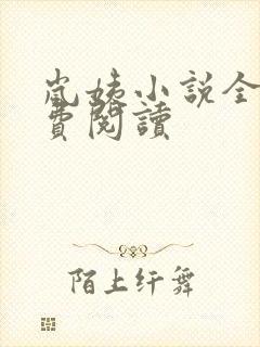 岚姨小说全文免费阅读