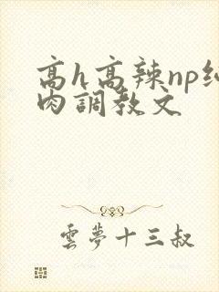 高h高辣np纯肉调教文