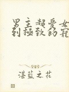 男主超爱女主爱到极致的宠文封面