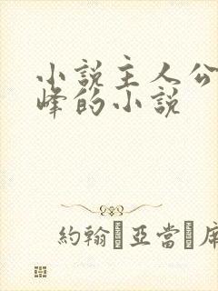 小说主人公叫林峰的小说封面