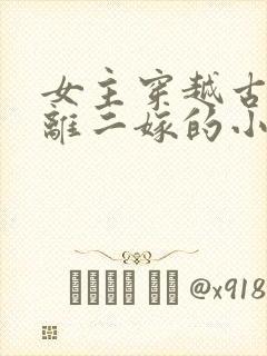 女主穿越古代和离二嫁的小说