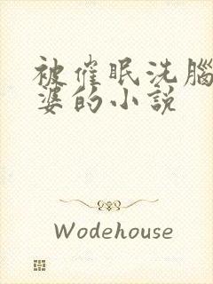 被催眠洗脑的老婆的小说