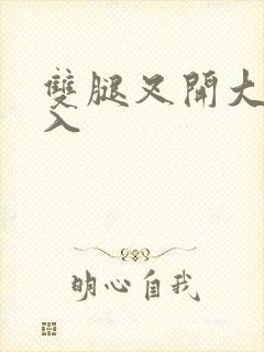 双腿叉开大棒进入