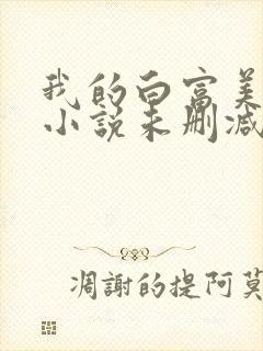 我的白富美老婆小说未删减版封面