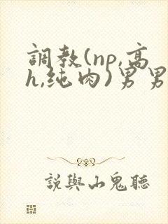 调教(np,高h,纯肉)男男封面