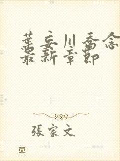 叶妄川乔念小说最新章节