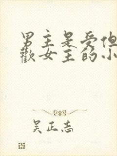 男主是受但是喜欢女主的小说封面