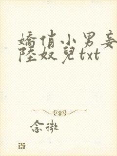 娇俏小男妾by陆奴儿txt