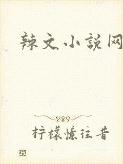 辣文小说网小说