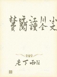 林晚江川小说免费阅读全文最新章节