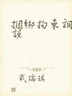 捆绑拘束调教小说封面