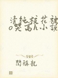 清纯校花被cao哭高h小说