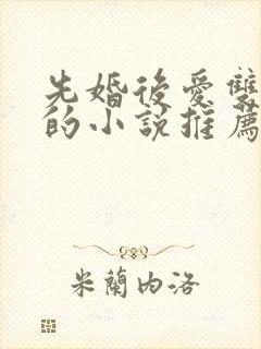 先婚后爱双男主的小说推荐