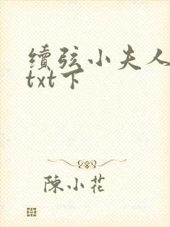 续弦小夫人下载txt下
