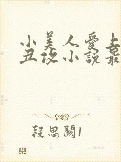 小美人爱上油腻丑攻小说最新章节更封面