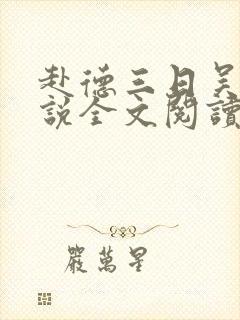 赴德三日吴敏小说全文阅读