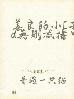 善良的小[子hd无删减播中文