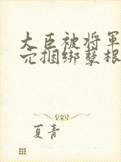 大臣被将军插后穴捆绑孽根腐文封面