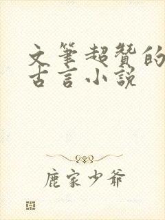 文笔超赞的宅斗古言小说封面