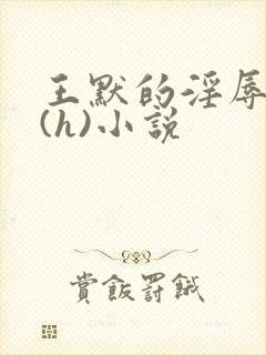 王默的淫辱日记(h)小说