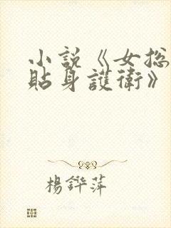 小说《女总裁的贴身护卫》