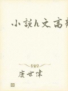 小说h文高辣