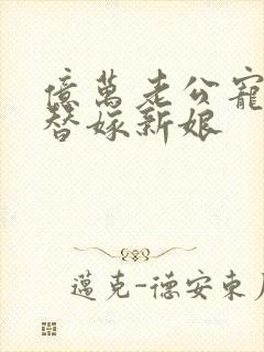 亿万老公宠上天替嫁新娘