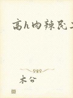 高h肉辣民工文