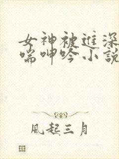 女神被进深处娇喘呻吟小说