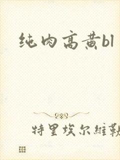 纯肉高黄bl