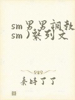 sm男男调教(sm )系列文