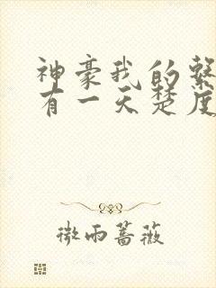 神豪我的系统只有一天楚度