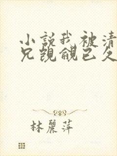 小说我被清冷师兄觊觎已久小说