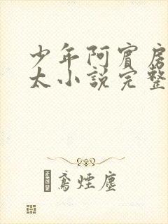 少年阿宾房东太太小说完整免费阅读下载