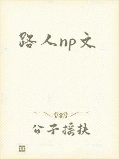 路人np文