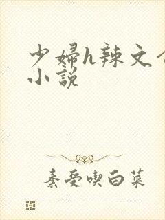 少妇h辣文合集小说