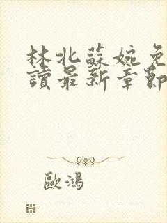 林北苏婉免费阅读最新章节笔趣阁封面