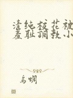 清纯校花被民工羞耻调教小说