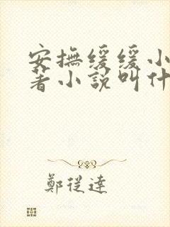 安抚缓缓小说原著小说叫什么名字