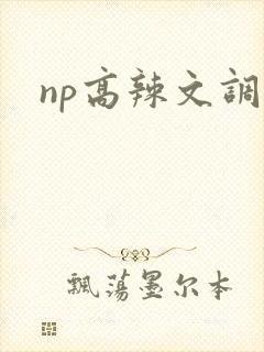 np高辣文调教