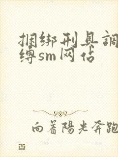 捆绑刑具调教束缚sm网站