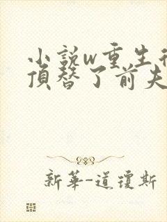 小说w重生后我顶替了前夫白月光,