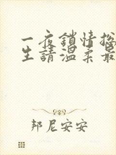 一夜锁情总裁先生请温柔最新