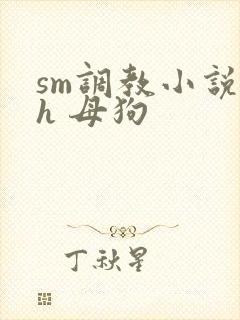 sm调教小说高h 母狗