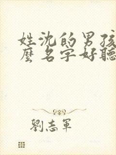 姓沈的男孩取什么名字好听