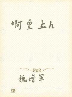 啊皇上h封面
