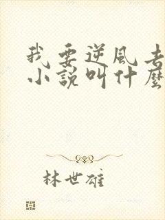 我要逆风去原著小说叫什么