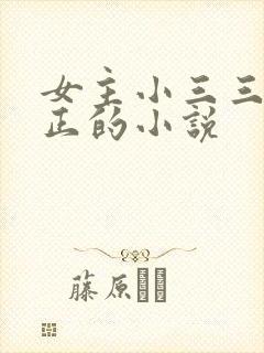 女主小三三观不正的小说