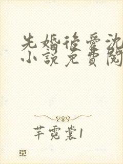 先婚后爱沈书记小说免费阅读全文