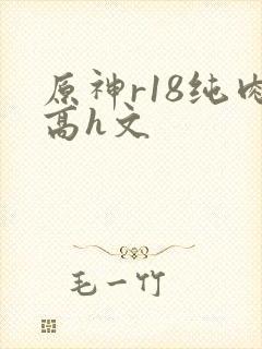 原神r18纯肉高h文